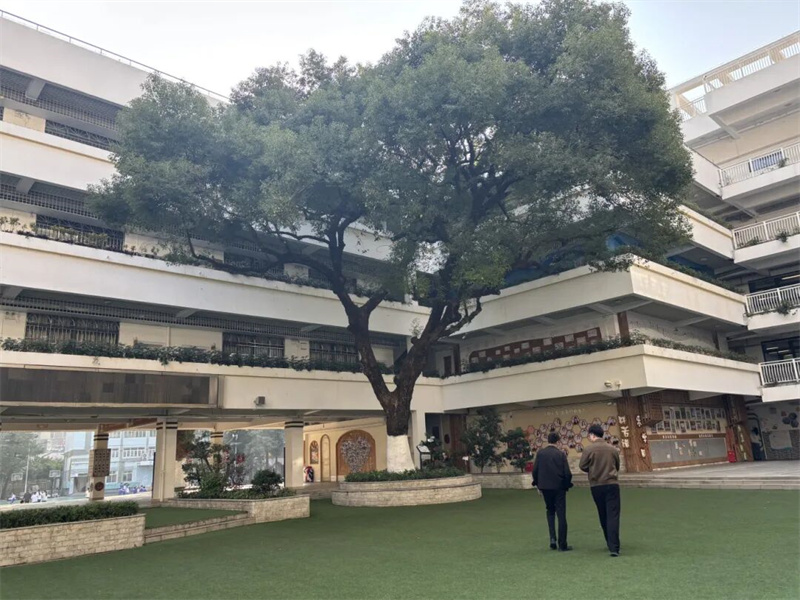 赴深研学取真经 匠心育人促提升|少林友谊学校教师深圳研学培训纪实(图4) 微信图片_2026-03-17_102004_795.jpg