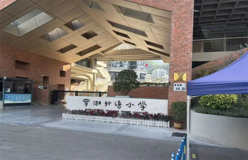 赴深研学取真经 匠心育人促提升|少林友谊学校教师深圳研学培训纪实(图10) 微信图片_2026-03-17_102041_545.jpg